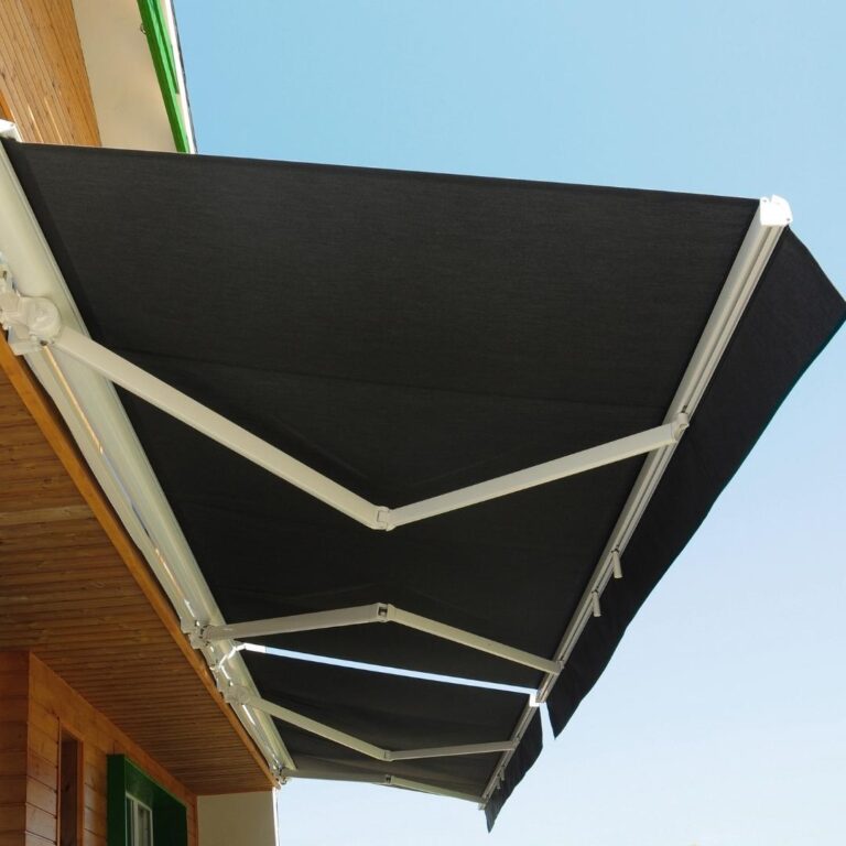 toldo negro economico
